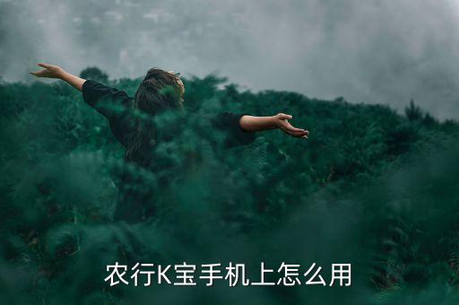 企业农业银行k宝怎么用,农业银行企业k宝锁定自己能解吗?