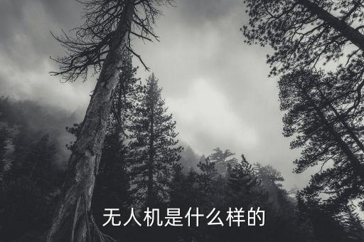 无人机农业生产线是什么,我国在无人机行业取得显著进步