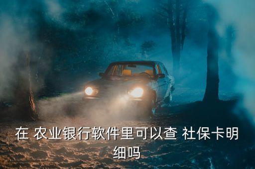 农业银行没交社保怎么查看,在农业银行交社保怎么交不上