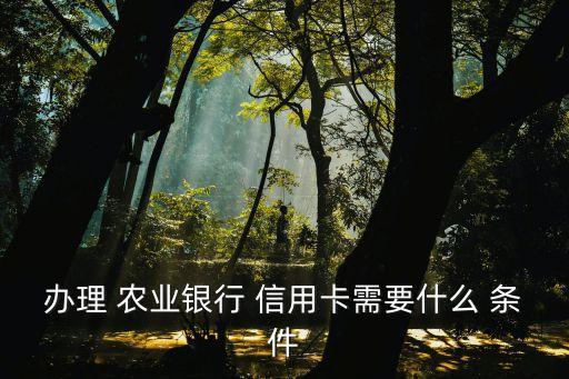 办农业信用卡有什么条件,农业bank信用卡needed条件