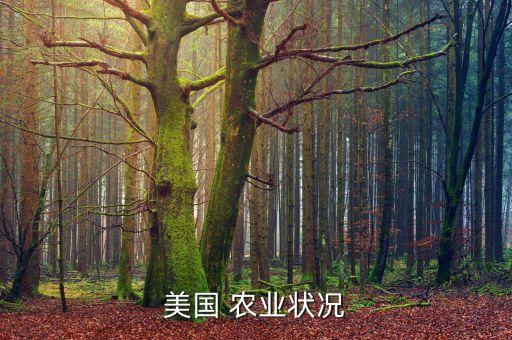 美国农业怎么样了
