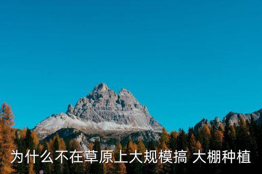 为什么不在草原上大规模搞 大棚种植