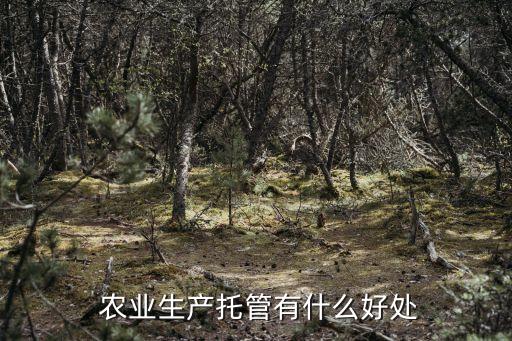 农业规模化管理有什么好处,家庭农场符合现代农业发展方向