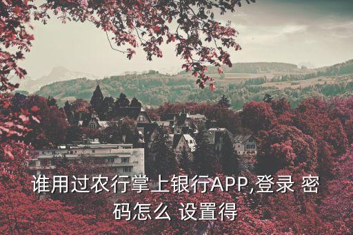 农业银行app支付密码怎么设置