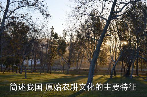 原始农业四大特点是什么,农业:中国古代农业经济的基本特征