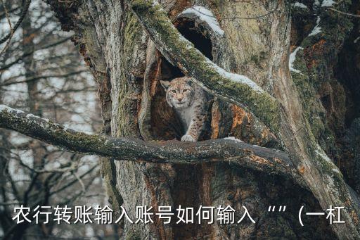 农行转账输入账号如何输入“”(一杠