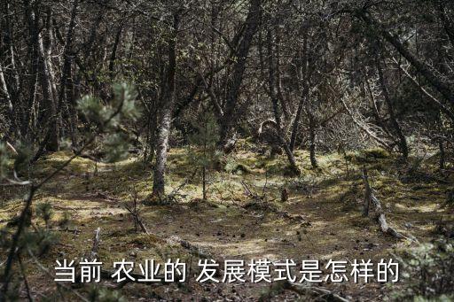 农业会怎么发展,农业怎么发展才能赚钱张家界