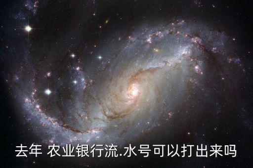 农业银行打流水怎么打印