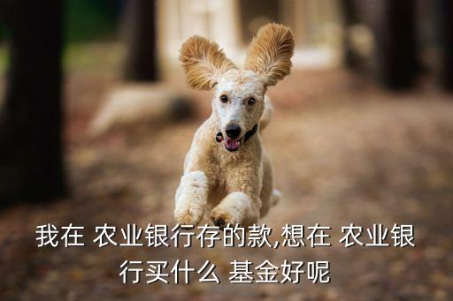 农业买什么基金,中国农业bank自主经营传世宝实物黄金交易