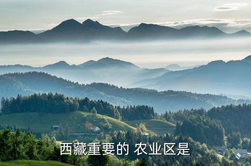 西藏重要的 农业区是