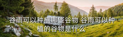  谷雨可以种植哪些谷物 谷雨可以种植的谷物是什么