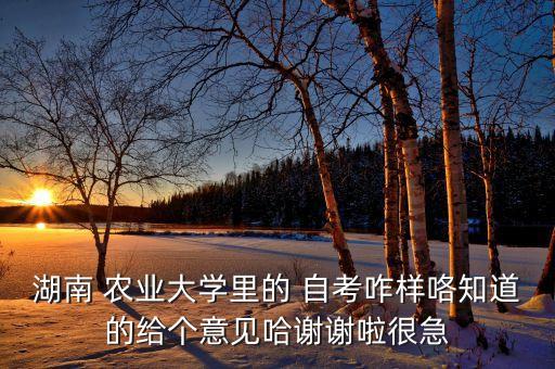 长沙农业自考本科怎么样,长沙自考本科哪个学校通过率高