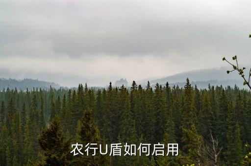 手机怎么农业银行u盾,华为手机用不了农业银行u盾
