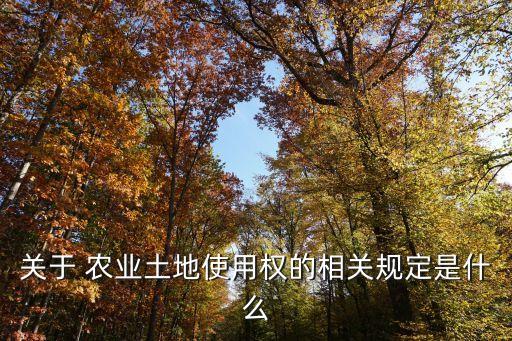 关于 农业土地使用权的相关规定是什么