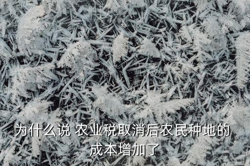 为什么说 农业税取消后农民种地的 成本增加了