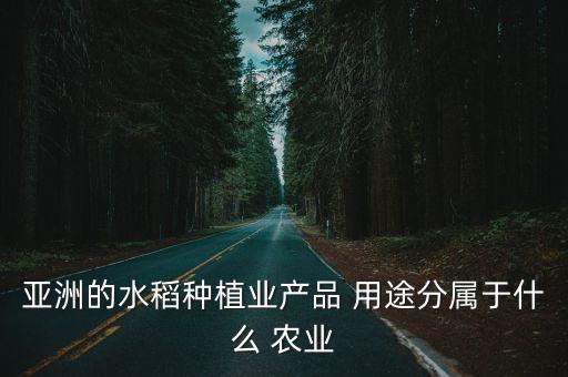 亚洲的水稻种植业产品 用途分属于什么 农业