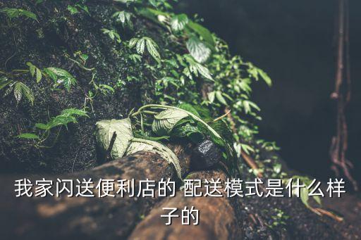 我家闪送便利店的 配送模式是什么样子的