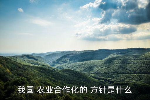 我国 农业合作化的 方针是什么