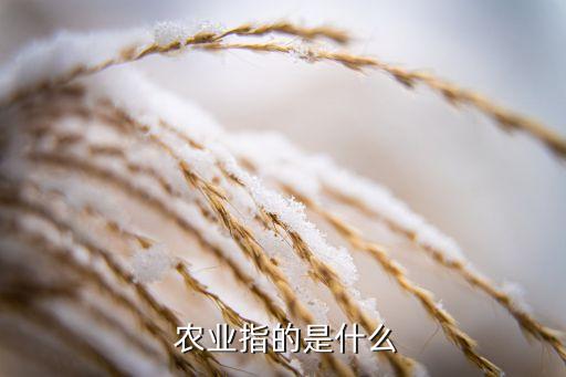 五色农业什么是新农业,农业绿色革命:利用太阳光能增加产量