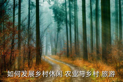 怎么提升旅游农业,旅游吸引力怎么提升