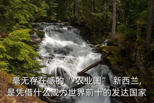 在新西兰做农业怎么样,去新西兰做缝纫工怎么样