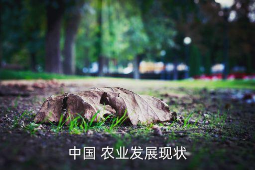 农业展望报告怎么写,2023农业展望报告