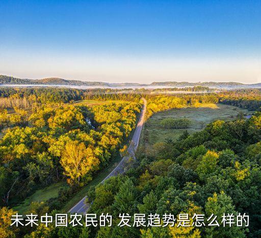 往后几年农业发展怎么样