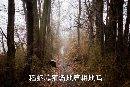 稻虾共养属于什么农业,稻田养虾违法!小龙虾适合养殖