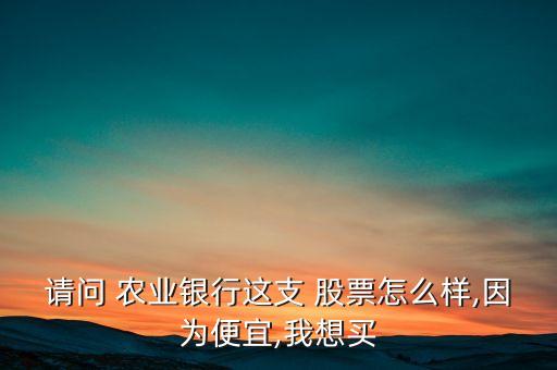 请问 农业银行这支 股票怎么样,因为便宜,我想买