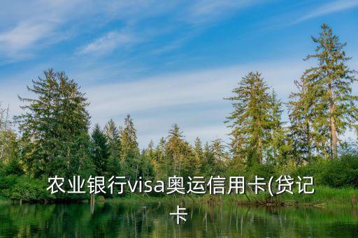 农业银行境外消费怎么开通