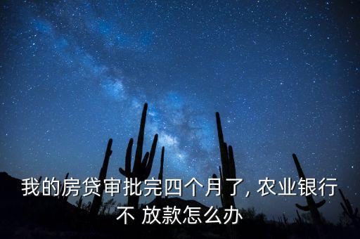 农业银行为什么没放款呢,贷款迟迟不批的原因