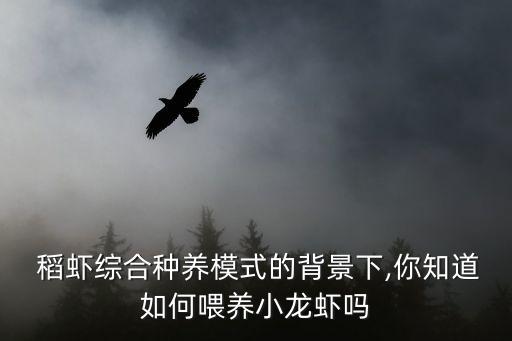  稻虾综合种养模式的背景下,你知道如何喂养小龙虾吗