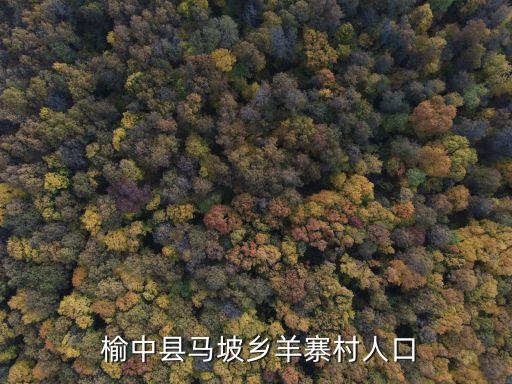  榆中县马坡乡羊寨村人口