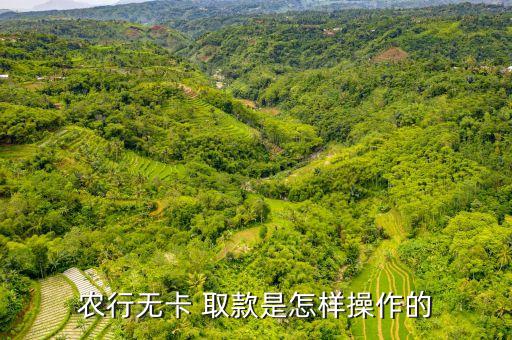 农业取款机怎么取款视频,农业银行卡能在农村信用社取款机上取款吗