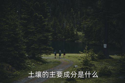  土壤的主要成分是什么