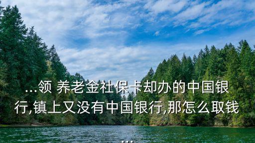 农业银行养老存款怎么取