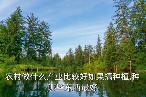 做农业什么好做,本地农科学生创业发展养殖业和种植业