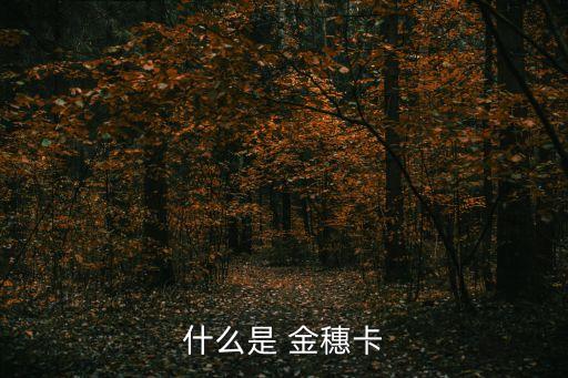 农业银行金穗卡条件是什么,中国农业银行金穗卡是什么呢?
