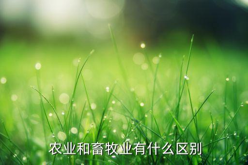 养猪属于什么农业,农民不再是农业劳动者而是成为农业户口