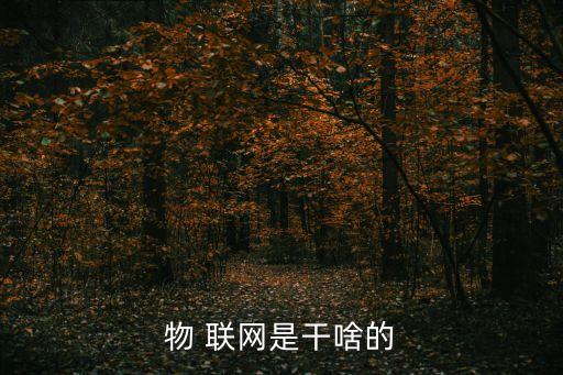 宁河物联网农业公司怎么样,农业物联网大公司