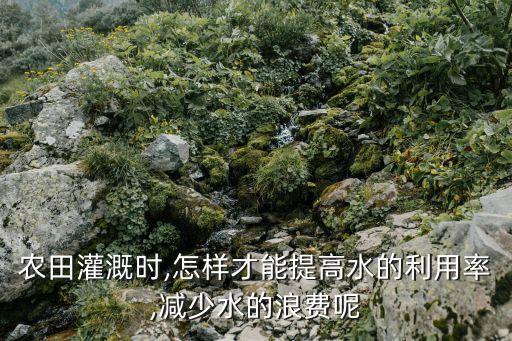 农业上怎么解决水资源问题,新疆的水资源怎么解决