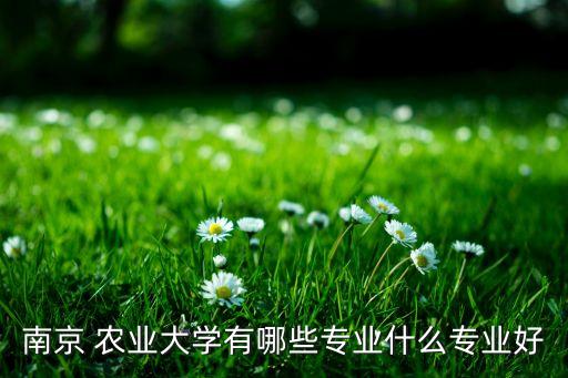 农业大学的旅游管理是什么