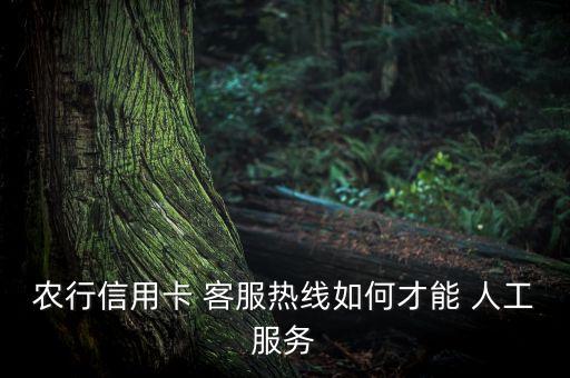 农业银行客服怎么接人工