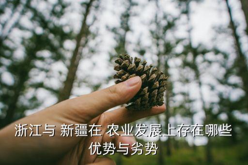 新疆农业怎么干,农业农村工作怎么干