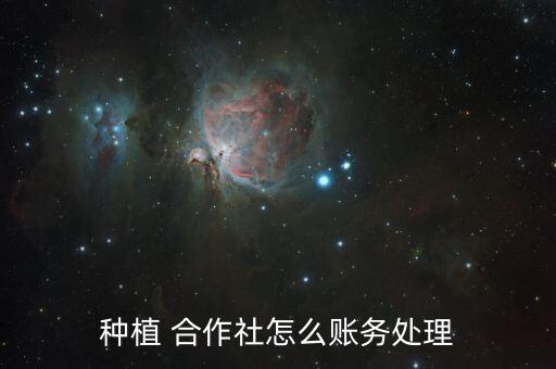 农业合作社怎么做会计