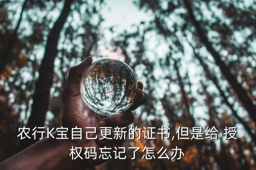 农业银行授权码怎么查