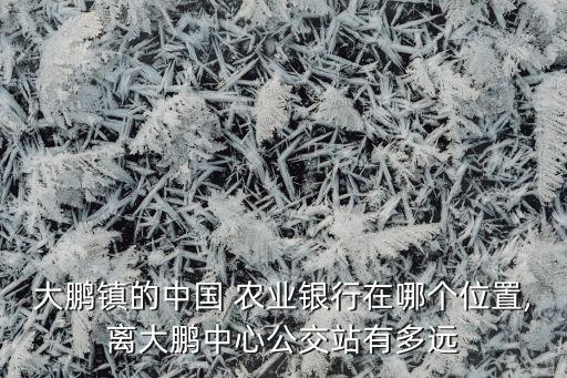 333路怎么到农业银行