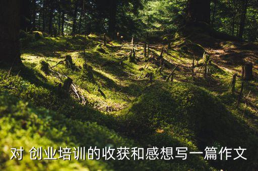 农业创业没想怎么写,评估你的农业创业能力范文怎么写