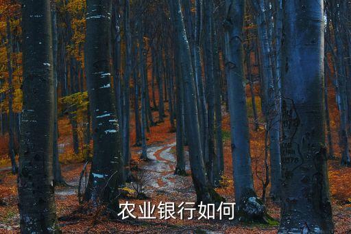 松原农业银行待遇怎么样,吉林松原农业银行客服电话