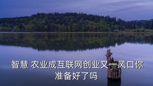 智慧农业的深度反思怎么写